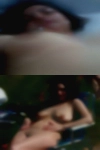 Pussy Vista