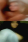 Tarboro adult swingers